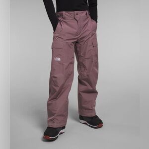 NWT! NEW! The North Face Men's Raadik GTX Gortex Snow Pant  -Only M Fawn Grey